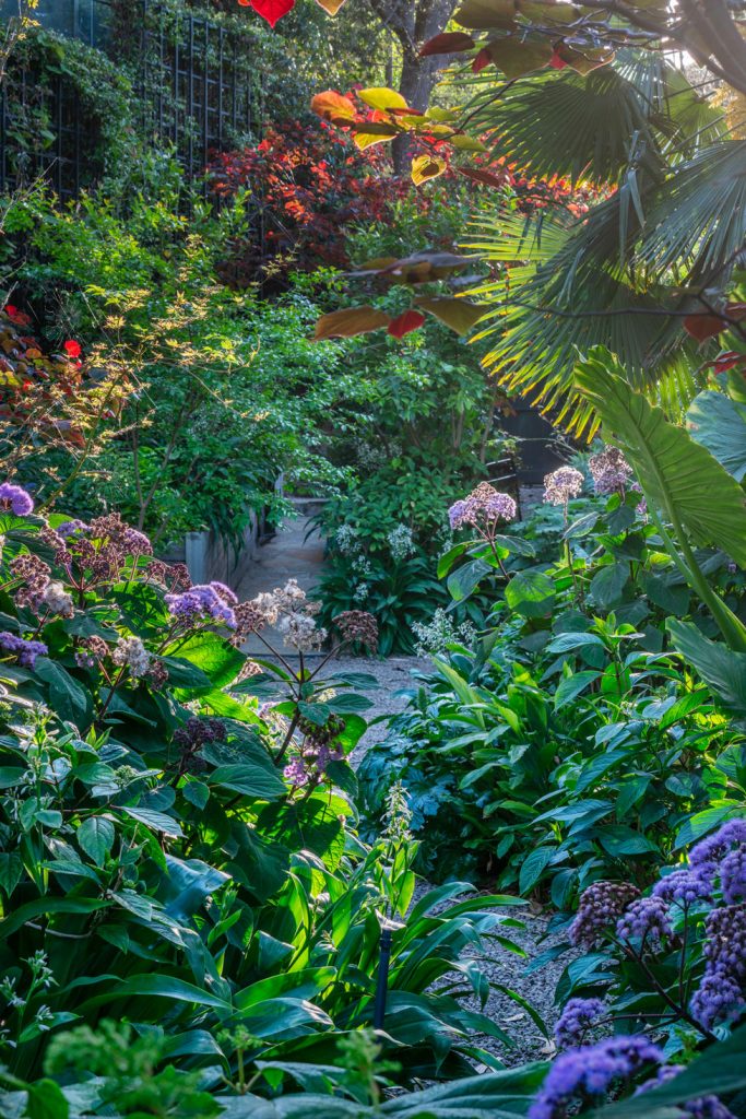 View through the garden towards the dwelling